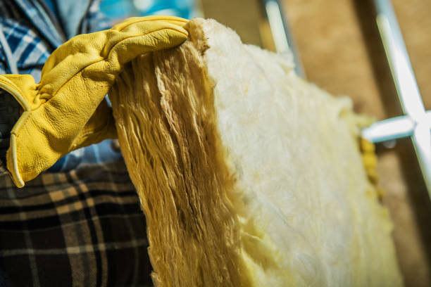 Best Residential Insulation in Pinedale, WY