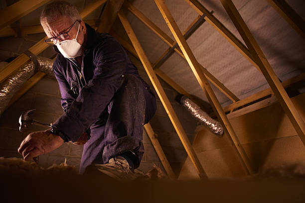 Best Cellulose Insulation in Pinedale, WY