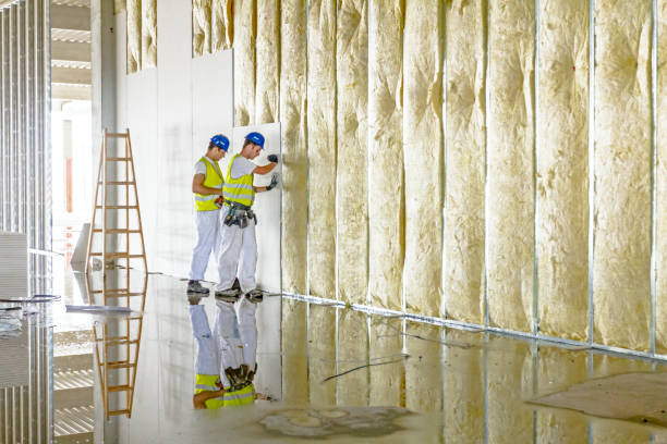 Best Eco-Friendly Insulation in Pinedale, WY